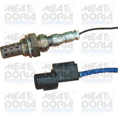 Oxygen Sensor